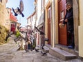 Elderly lady feeds pigeons in front of her house in the Old Town